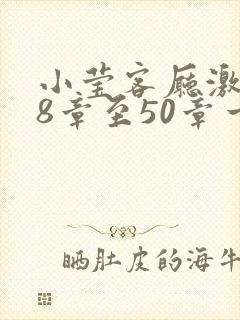 小莹客厅激情38章至50章一区