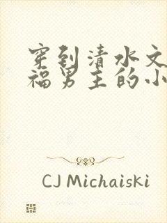 穿到清水文里造福男主的小说