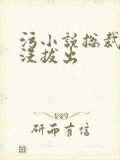 污小说总裁整夜没拔出