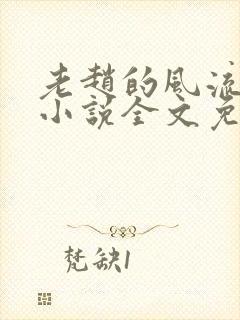 老赵的风流人生小说全文免费阅读