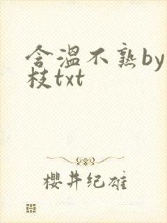 含温不熟by词枝txt