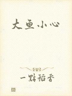 大鱼小心