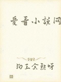 爱看小说网
