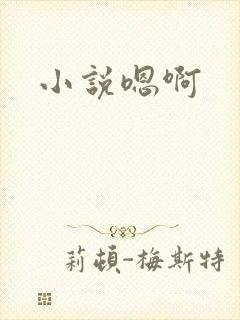小说嗯啊