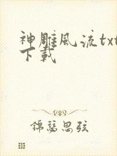 神雕风流txt下载