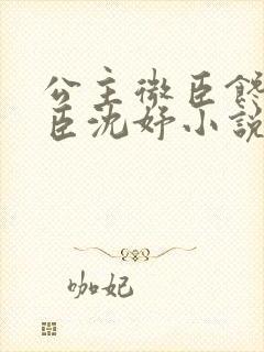 公主微臣馋了微臣沈妤小说