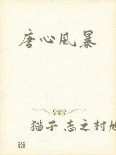 唐心风暴