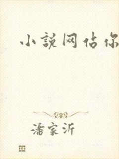 小说网站你懂的