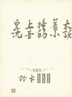 皇上撞着太子妃沈音的小说叫什么