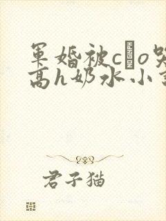 军婚被cαo哭高h奶水小说