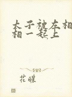 太子被左相和右相一起上