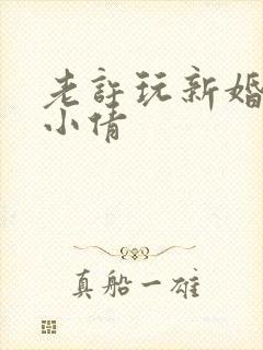 老许玩新婚少妇小倩
