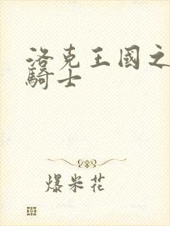 洛克王国之圣龙骑士