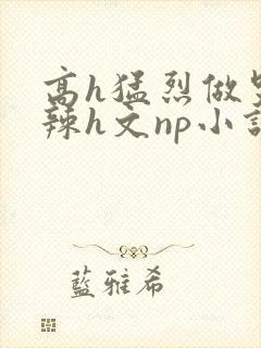 高h猛烈做哭高辣h文np小说