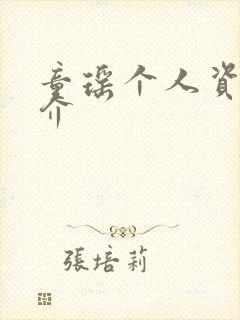 童瑶个人资料简介