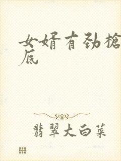 女婿有劲枪枪到底