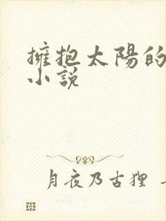 拥抱太阳的月亮小说