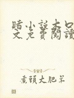 赌小说木口银全文免费阅读笔趣阁