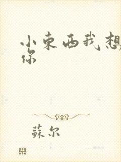 小东西我想弄坏你