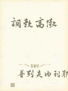 调教高傲