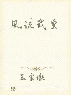 风流武皇