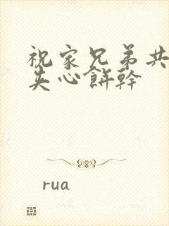 祝家兄弟共享后夹心饼干