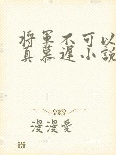 将军不可以魏云真慕迟小说笔趣阁