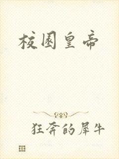 校园皇帝