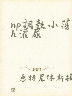 np调教小荡货h灌尿