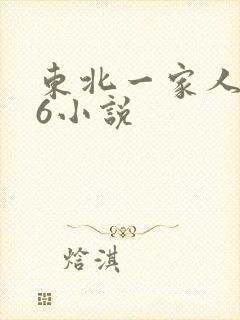 东北一家人1一6小说