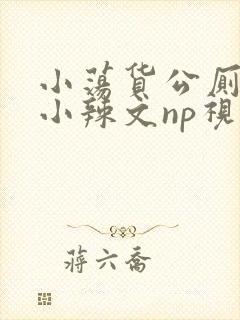 小荡货公厕h文小辣文np视频