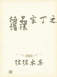 极品家丁之因果循环