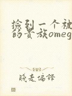 捡到一个被抹布的贵族omega