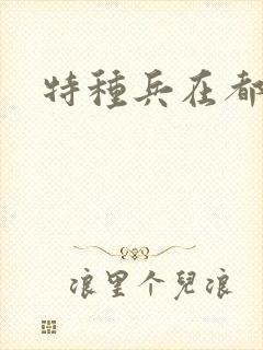 特种兵在都市