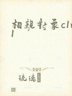 相亲对象c1v1