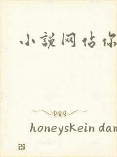 小说网站你懂的