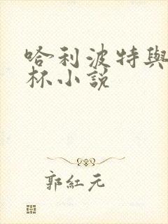 哈利波特与火焰杯小说