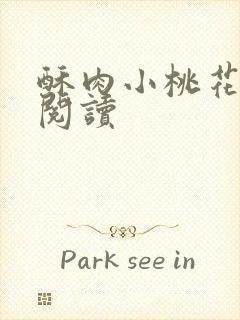酥肉小桃花全文阅读