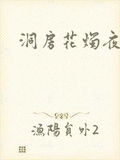 洞房花烛夜小说