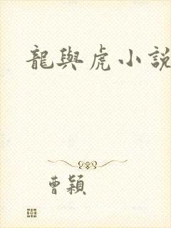 龙与虎小说