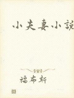 小夫妻小说