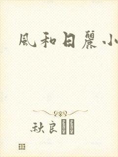 风和日丽小说