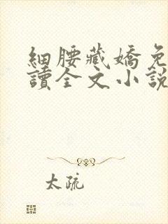 细腰藏娇免费阅读全文小说苏珞浅