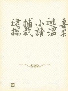 逮捕小逃妻狼性总裁请温柔