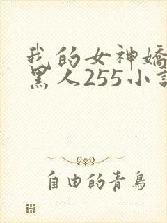 我的女神娇妻与黑人255小说