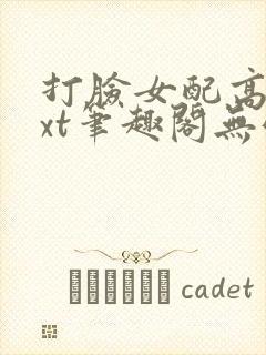 打脸女配高攀txt笔趣阁无弹窗