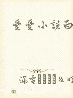 爱爱小说白洁