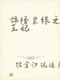 锦绣良缘之北地王妃