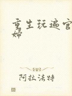 重生玩遍官场贵妇