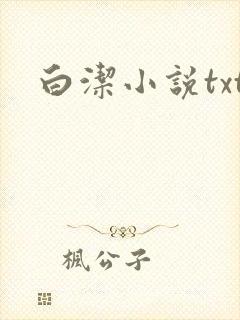 白洁小说txt